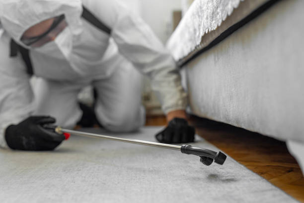 Professional Pest Control technician working in Horse Pasture, VA