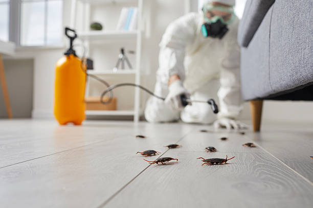 Trusted Rodent Control service in Horse Pasture, VA - Nex Pest Control
