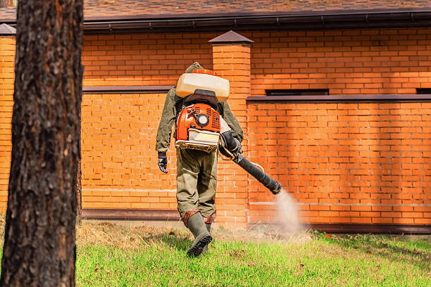 Trusted Cockroach Control service in Horse Pasture, VA - Nex Pest Control